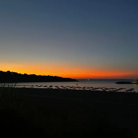 Zoya Πανσιόν 3*